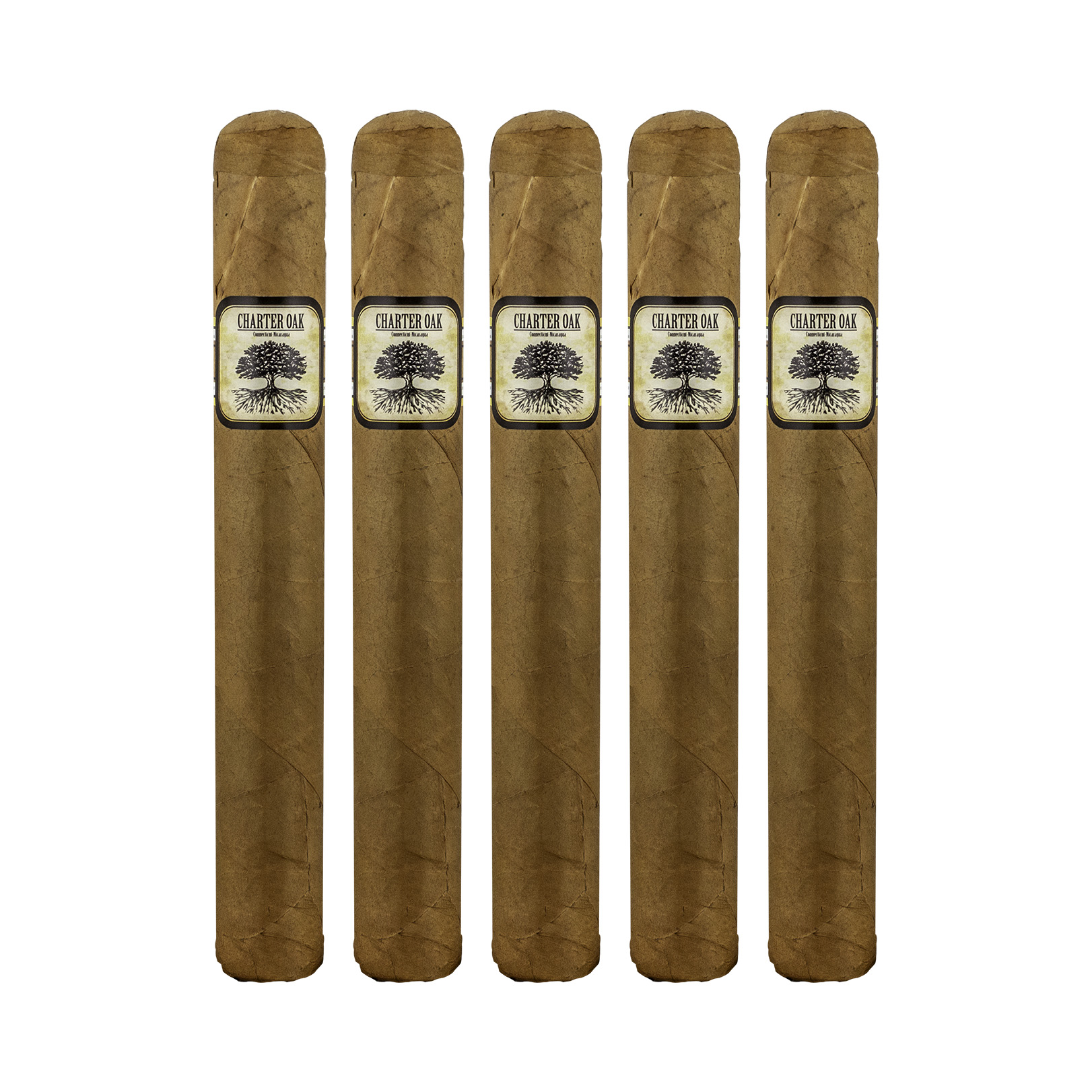 Charter Oak Connecticut Shade Toro Cigar - 5 Pack